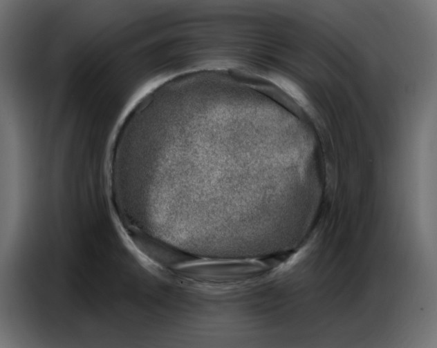 X0000086801046200705041604