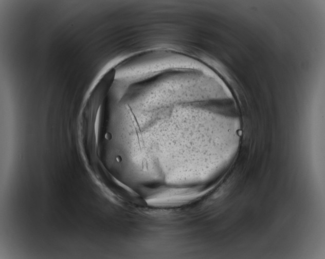 X0000086801048200705041604