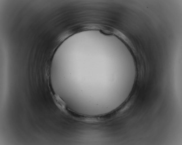 X0000086801049200705041604