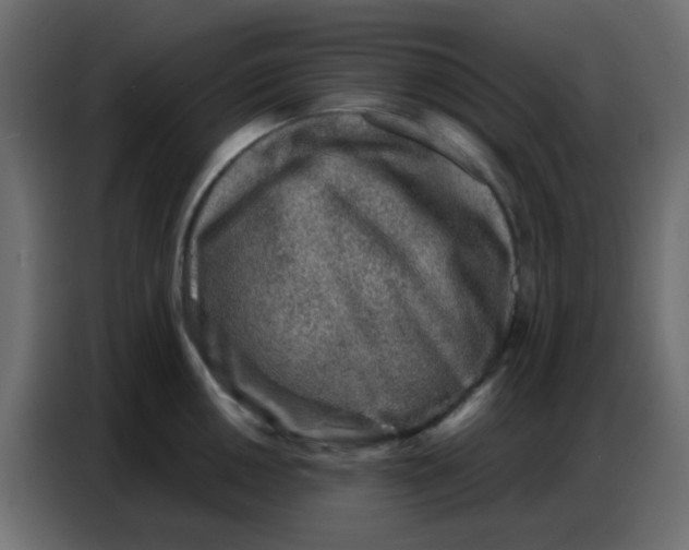 X0000086801050200705041604