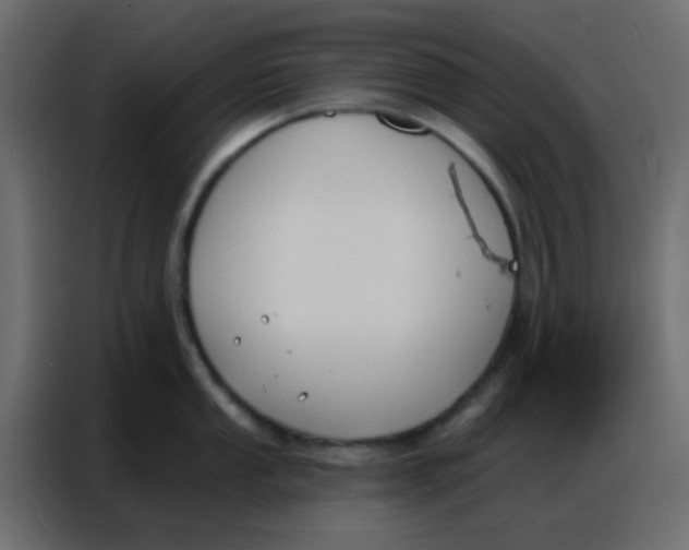 X0000086801053200705041604