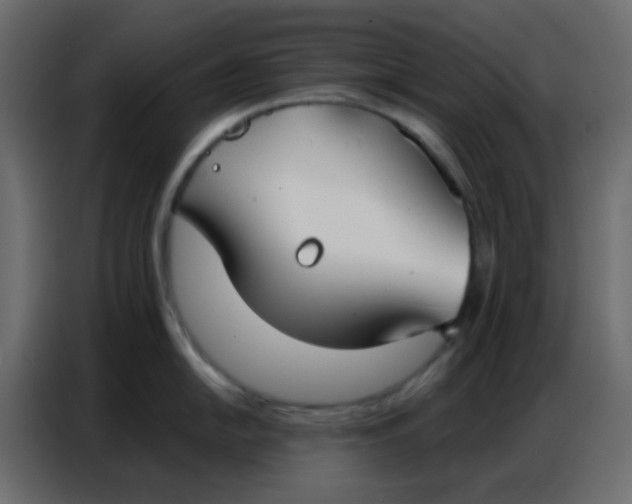 X0000086801054200705041604