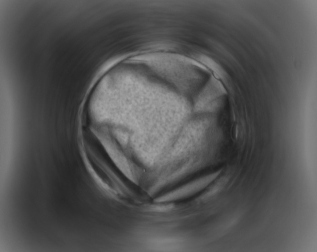 X0000086801055200705041604