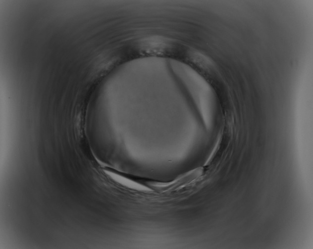 X0000086801060200705041604