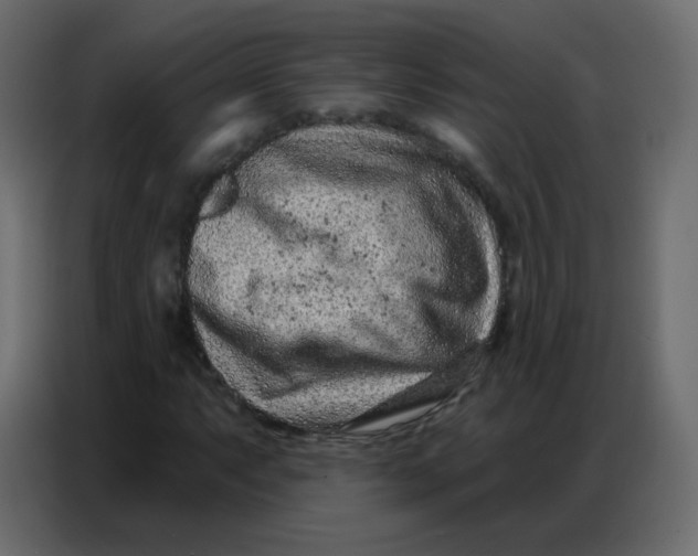 X0000086801063200705041604