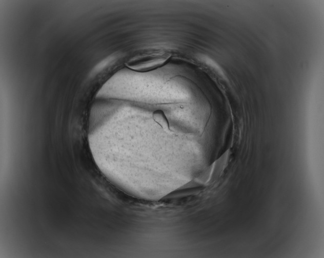 X0000086801064200705041604