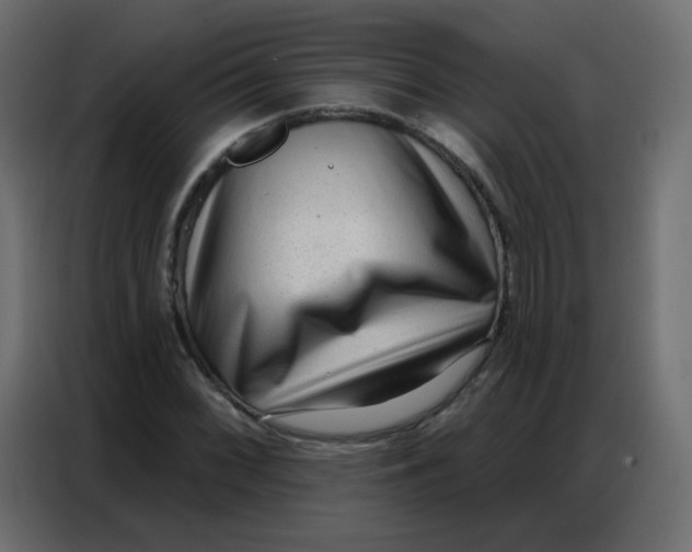 X0000086801068200705041604