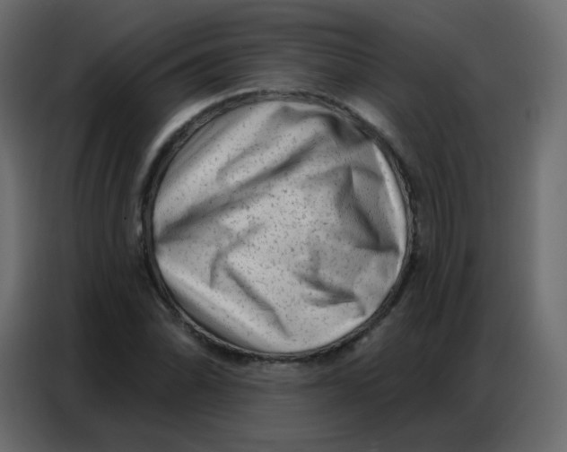 X0000086801070200705041604