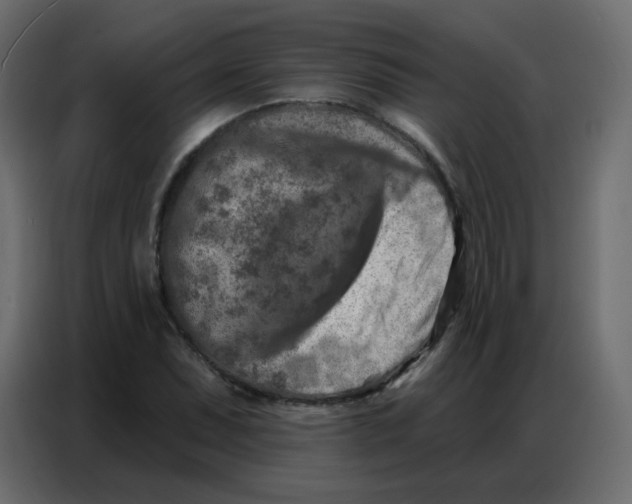 X0000086801071200705041604