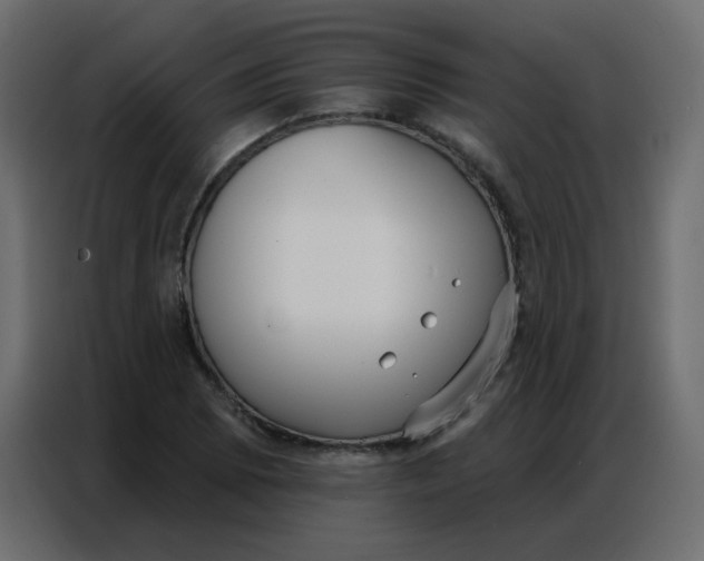 X0000086801073200705041603