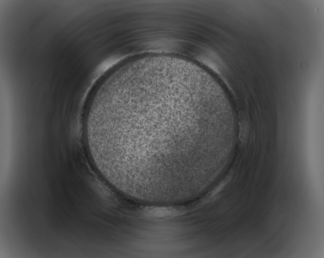 X0000086801074200705041603