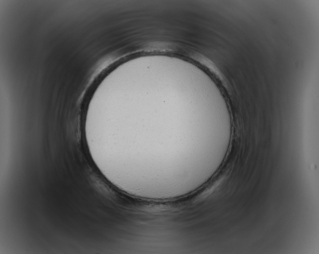 X0000086801075200705041603