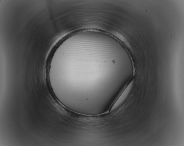 X0000086801076200705041603