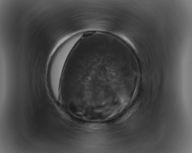 X0000086801077200705041603