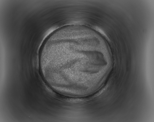 X0000086801079200705041603