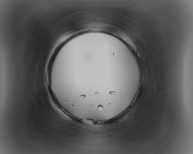 X0000086801080200705041603