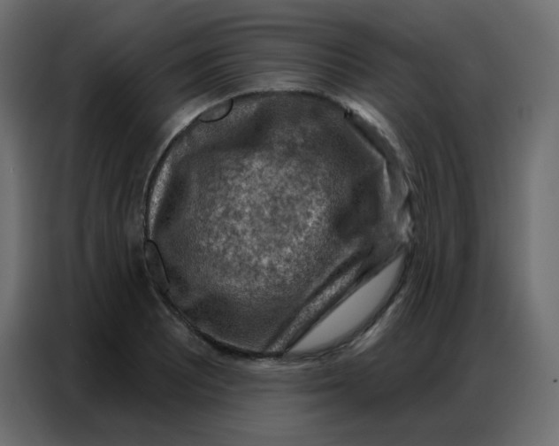 X0000086801081200705041603