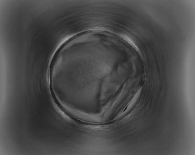 X0000086801084200705041603