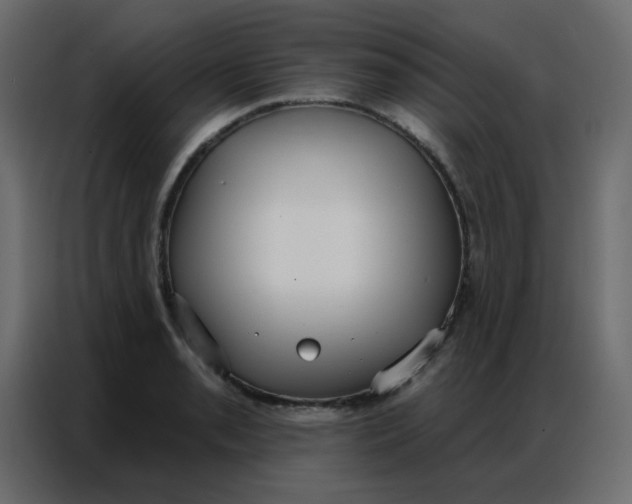 X0000086801085200705041603