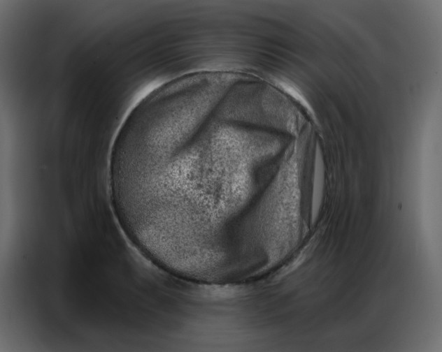 X0000086801087200705041603