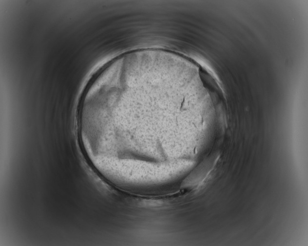 X0000086801088200705041603