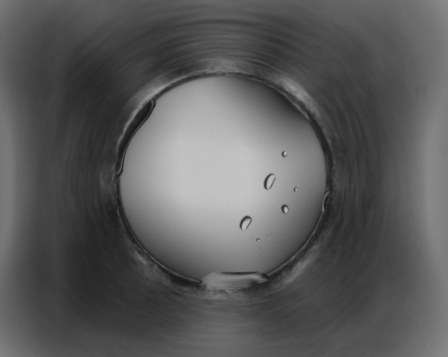 X0000086801089200705041603