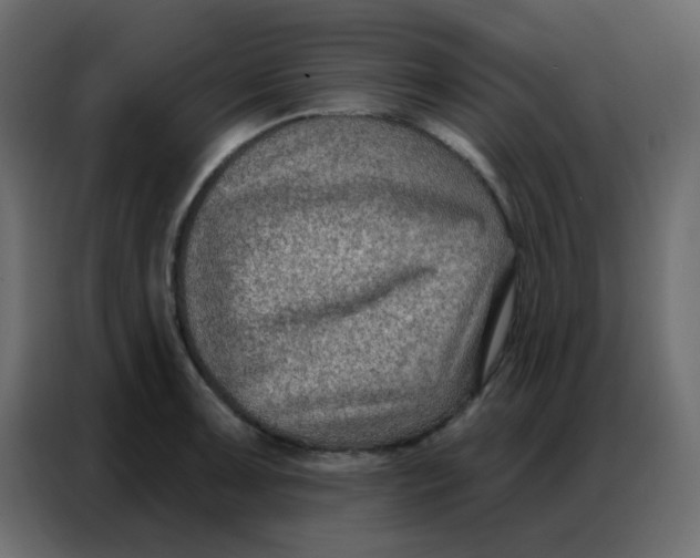 X0000086801091200705041603