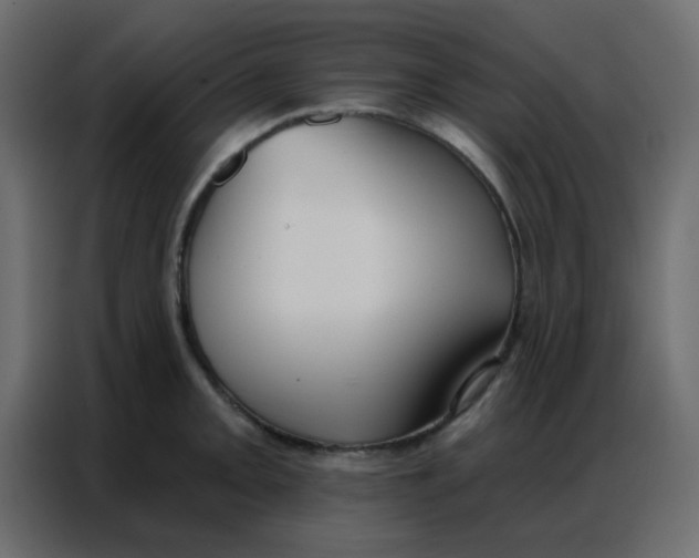 X0000086801093200705041603