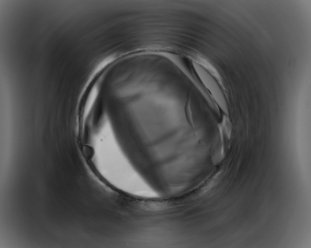 X0000086801095200705041603