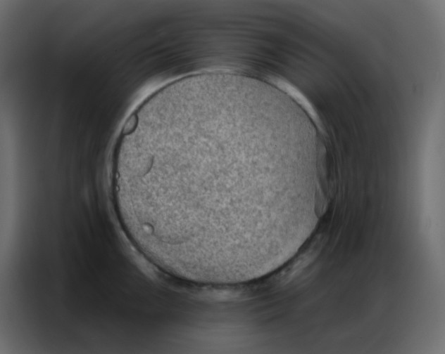 X0000086801099200705041603