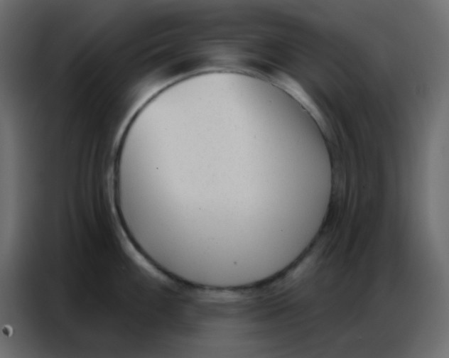 X0000086801100200705041603