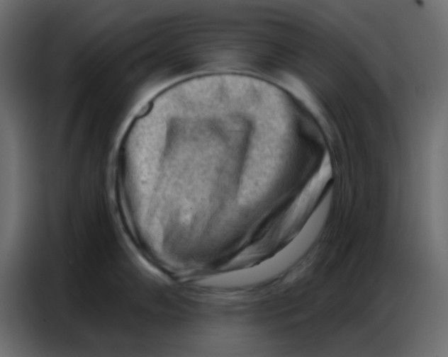 X0000086801102200705041603