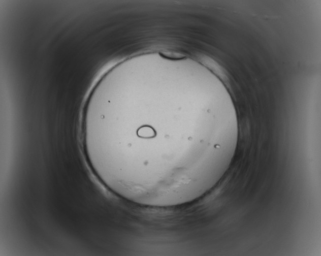 X0000086801103200705041603