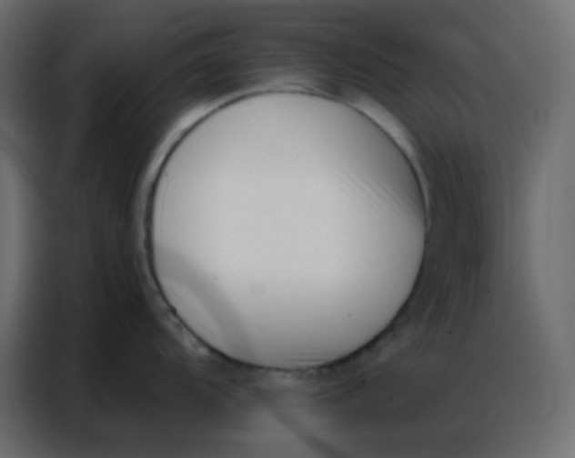 X0000086801104200705041603