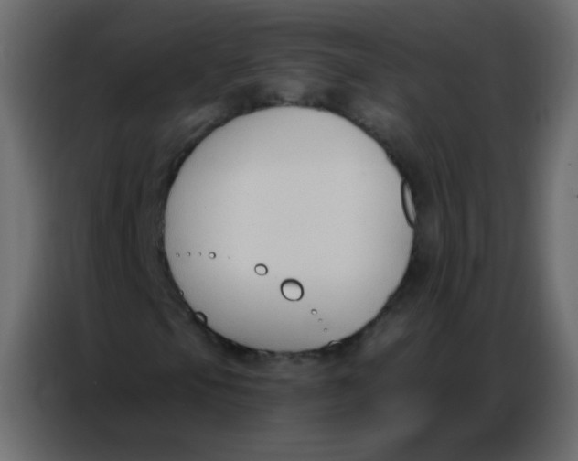 X0000086801105200705041602