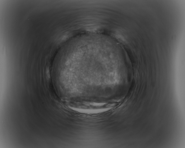 X0000086801106200705041602