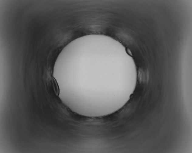 X0000086801107200705041602