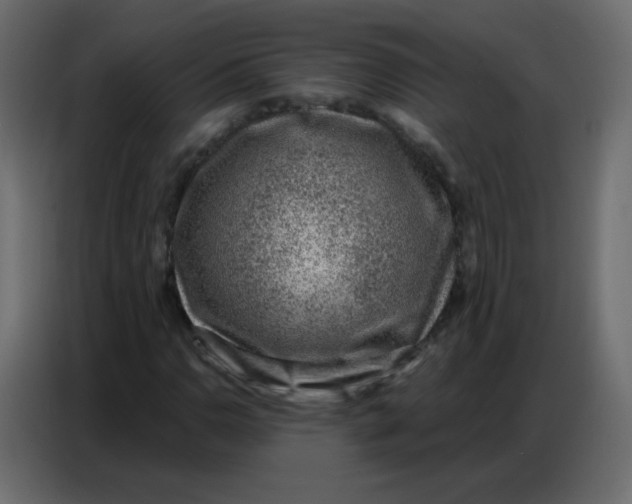 X0000086801110200705041603