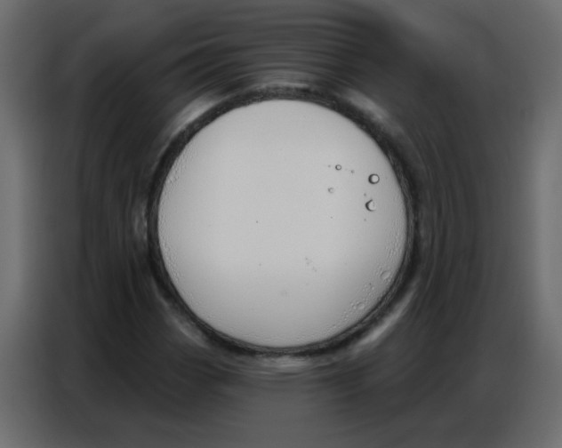 X0000086801113200705041603