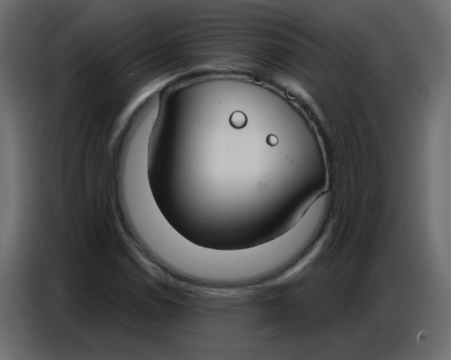 X0000086801114200705041603