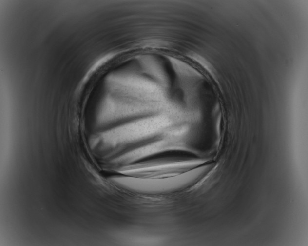 X0000086801115200705041603