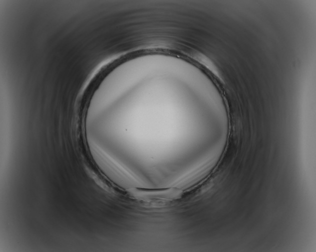 X0000086801116200705041603