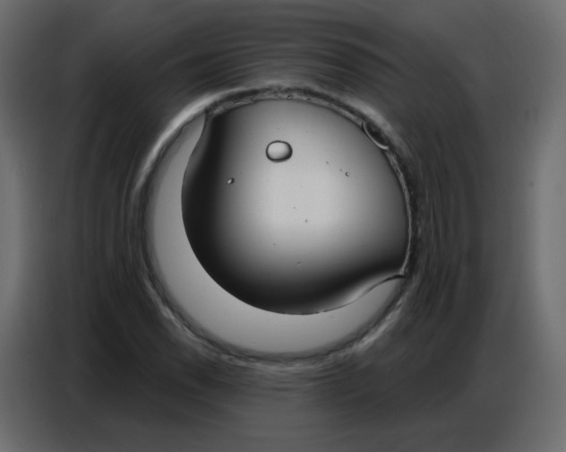 X0000086801118200705041603