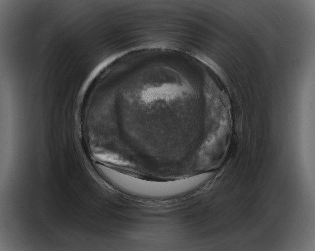 X0000086801120200705041603