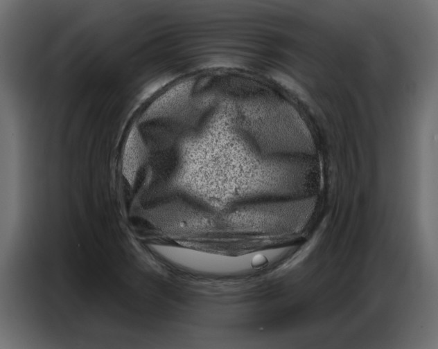 X0000086801121200705041603