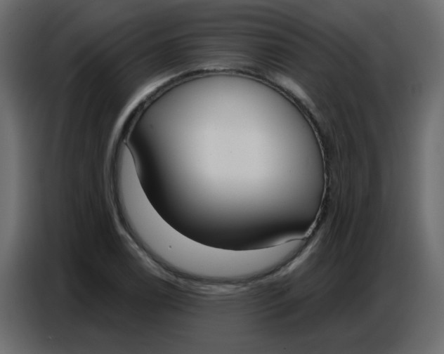 X0000086801122200705041603