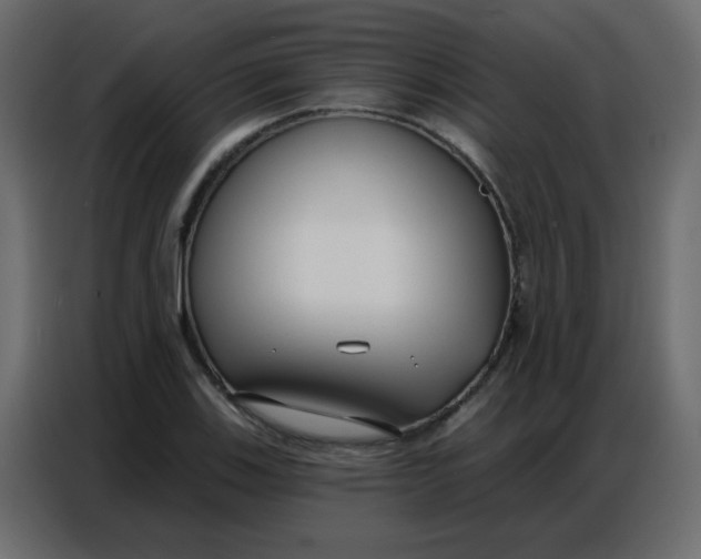 X0000086801123200705041603