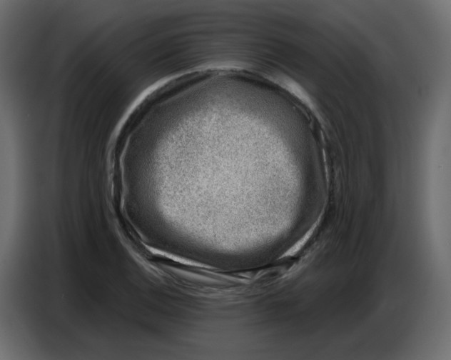 X0000086801124200705041603