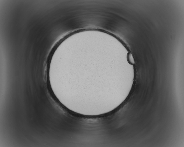 X0000086801126200705041603