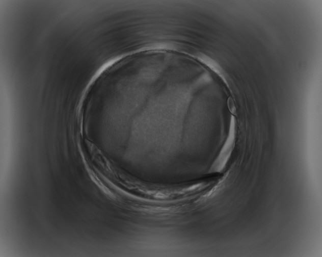 X0000086801127200705041603